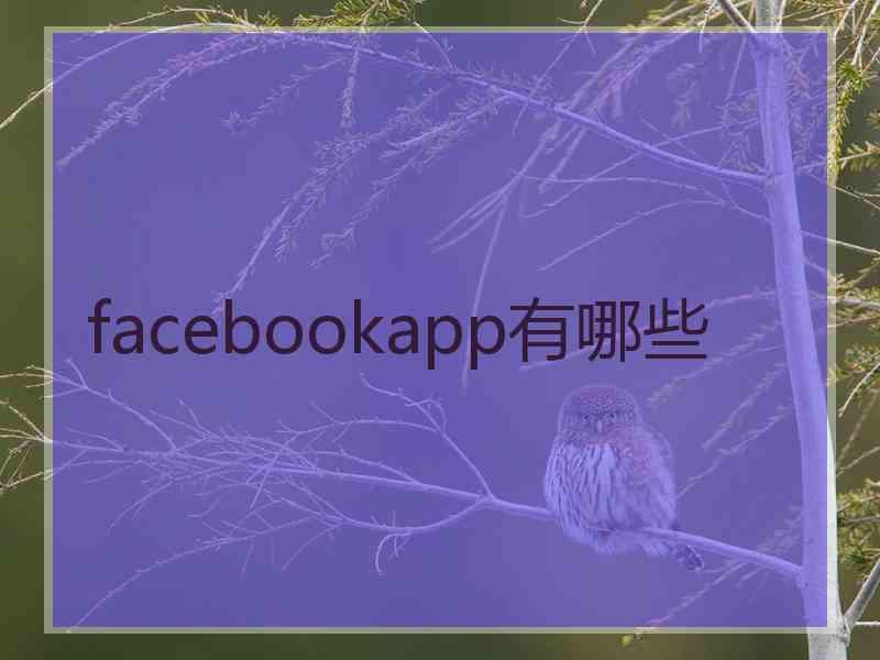 facebookapp有哪些