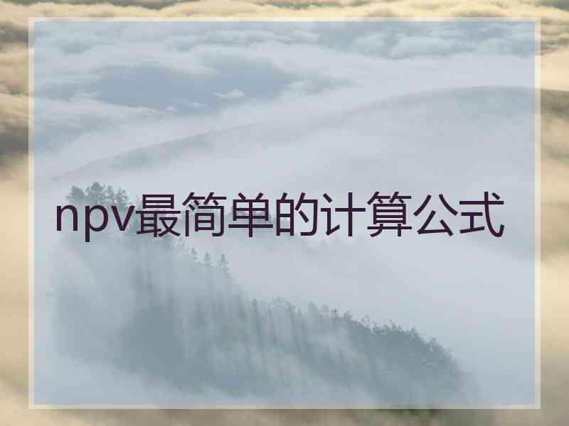 npv最简单的计算公式