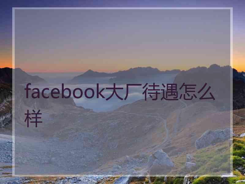 facebook大厂待遇怎么样