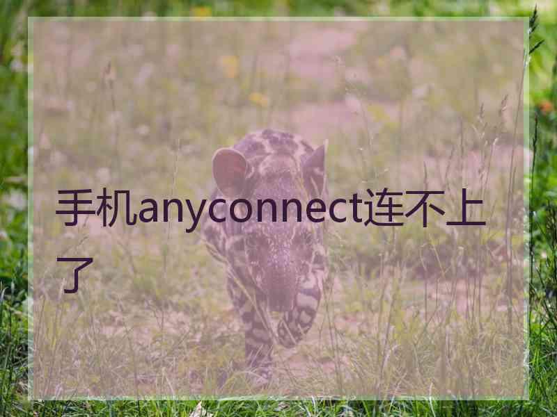 手机anyconnect连不上了