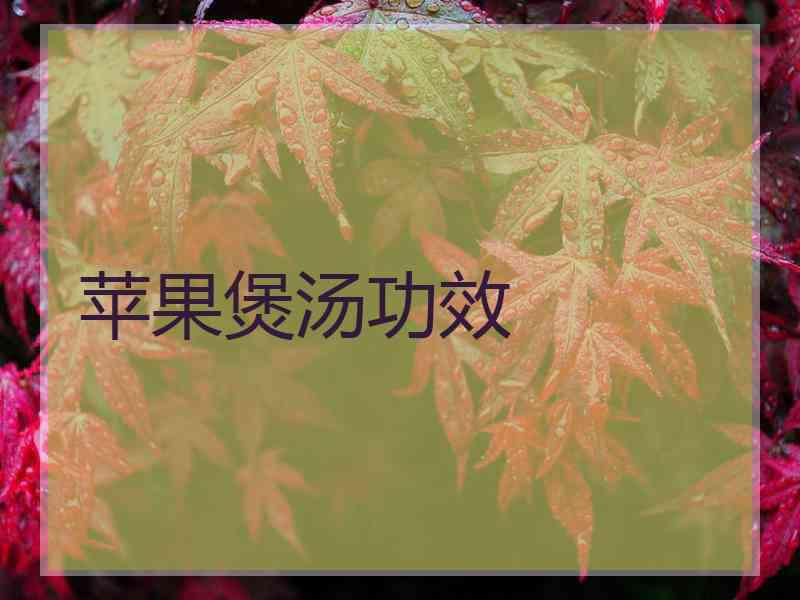 苹果煲汤功效