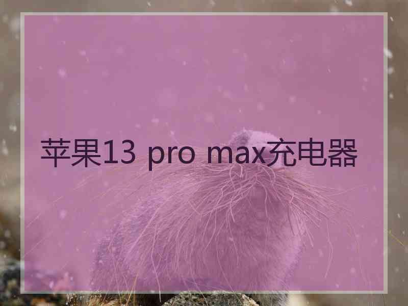 苹果13 pro max充电器