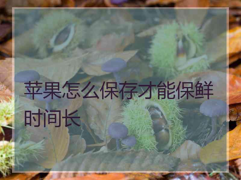 苹果怎么保存才能保鲜时间长