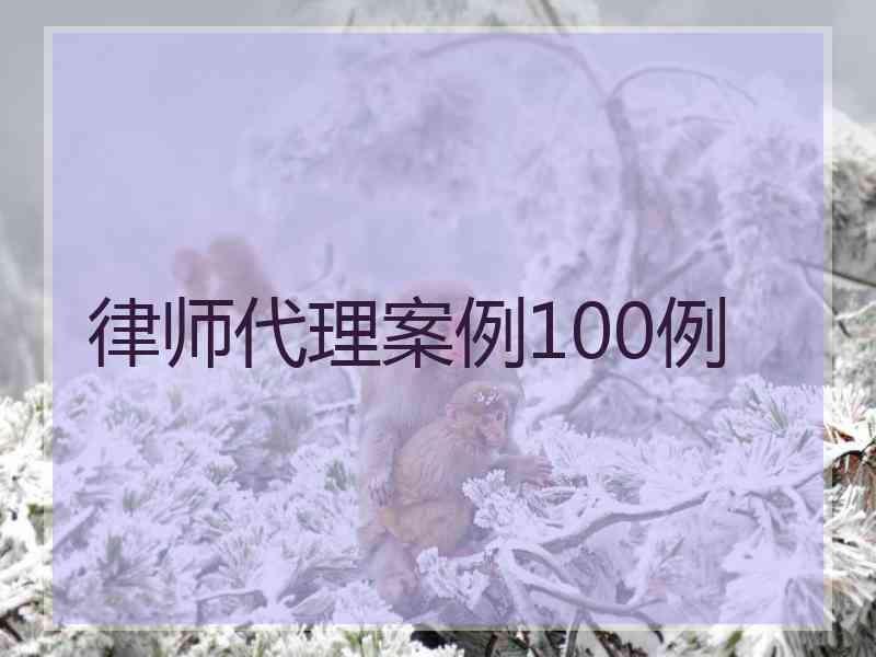 律师代理案例100例