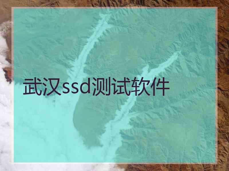 武汉ssd测试软件