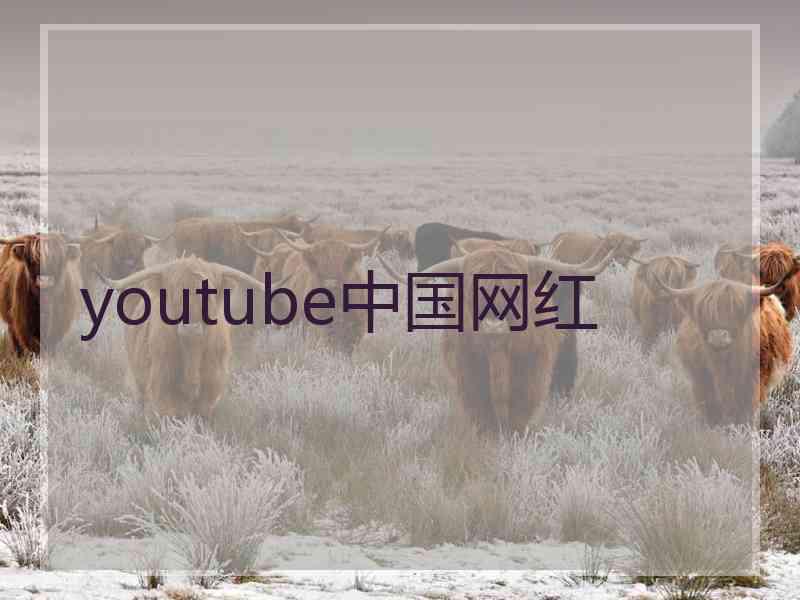 youtube中国网红