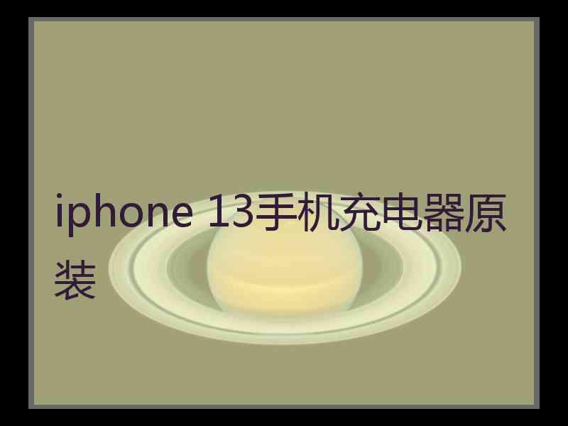 iphone 13手机充电器原装