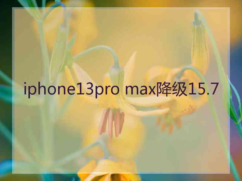 iphone13pro max降级15.7