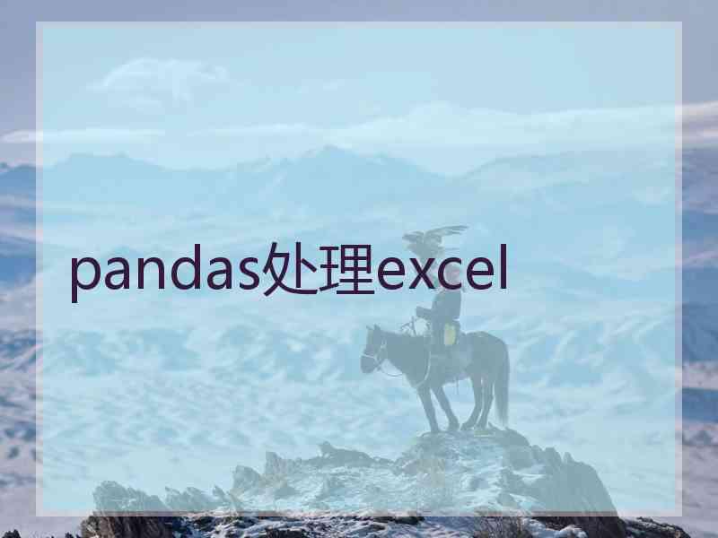 pandas处理excel