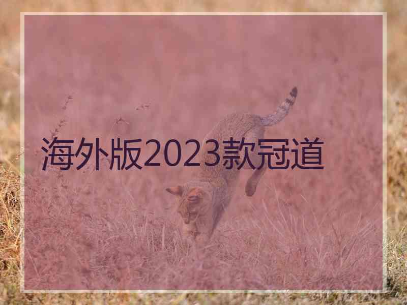 海外版2023款冠道