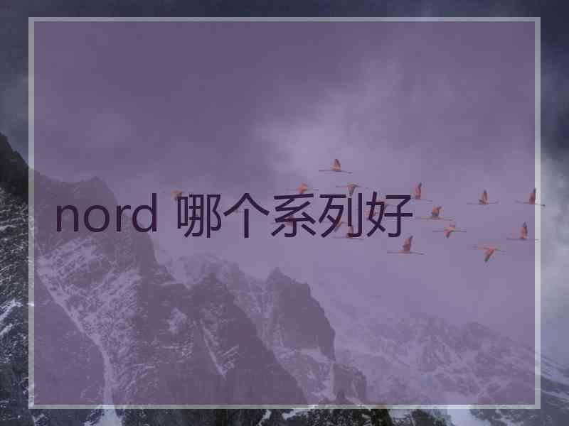 nord 哪个系列好