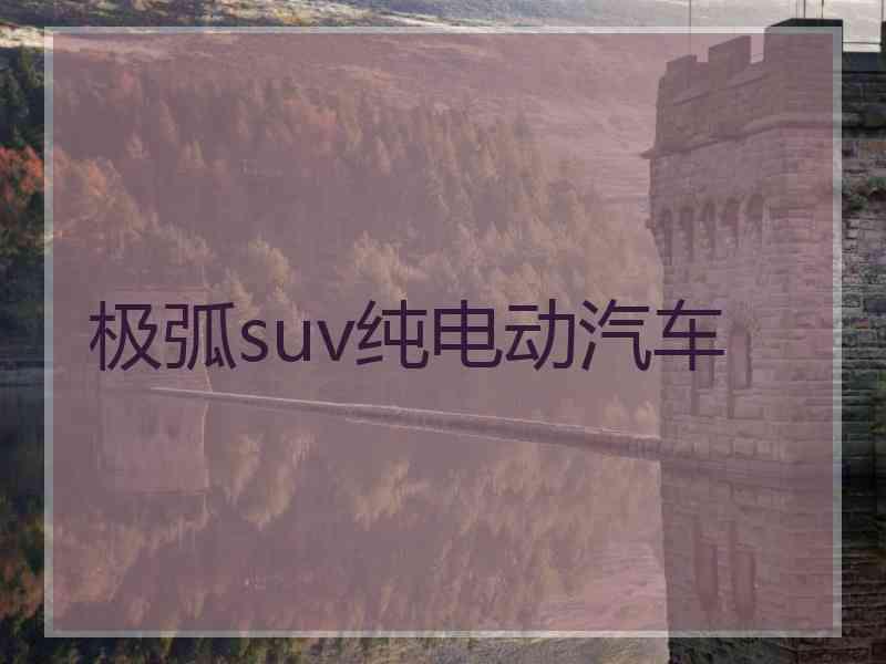 极弧suv纯电动汽车