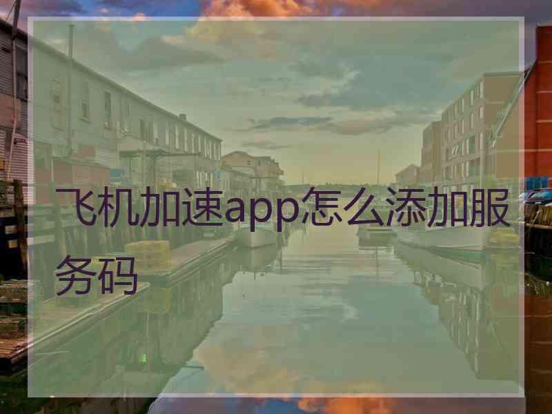 飞机加速app怎么添加服务码