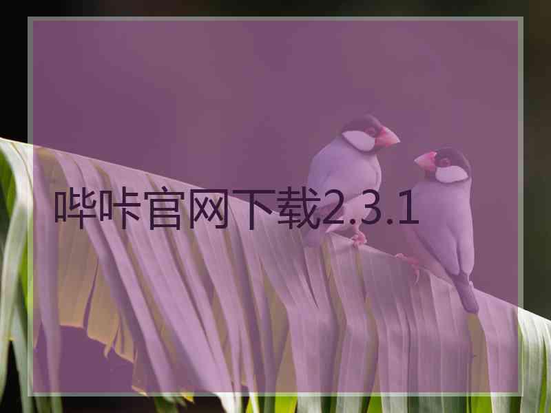 哔咔官网下载2.3.1