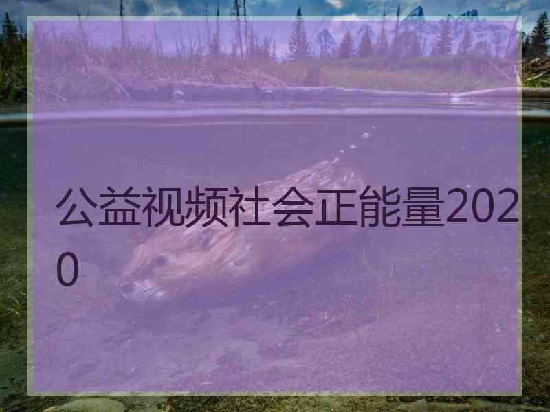 公益视频社会正能量2020