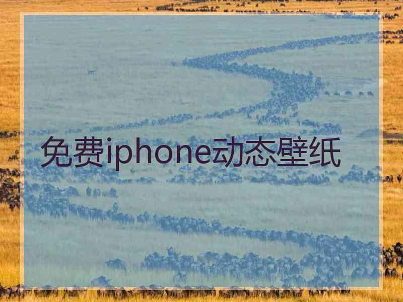 免费iphone动态壁纸