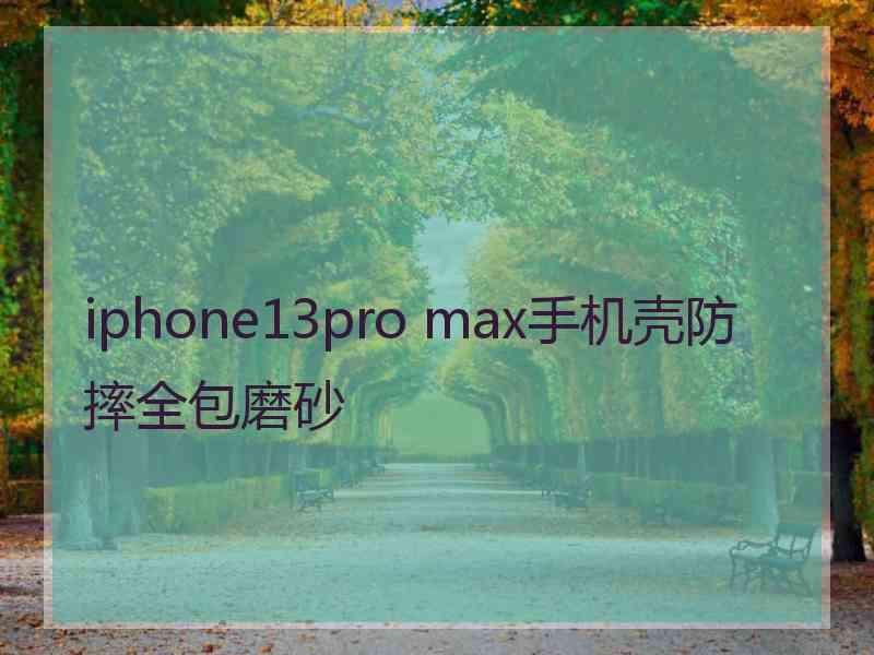 iphone13pro max手机壳防摔全包磨砂