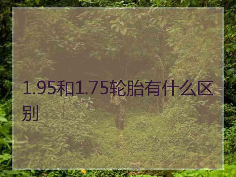 1.95和1.75轮胎有什么区别