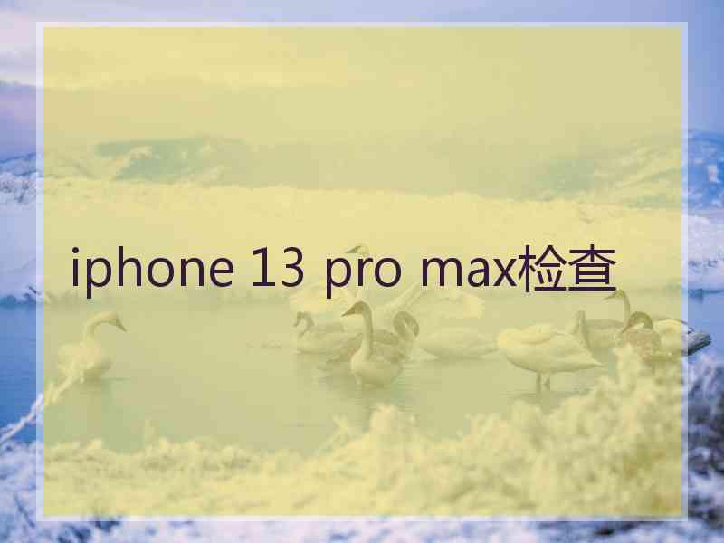 iphone 13 pro max检查