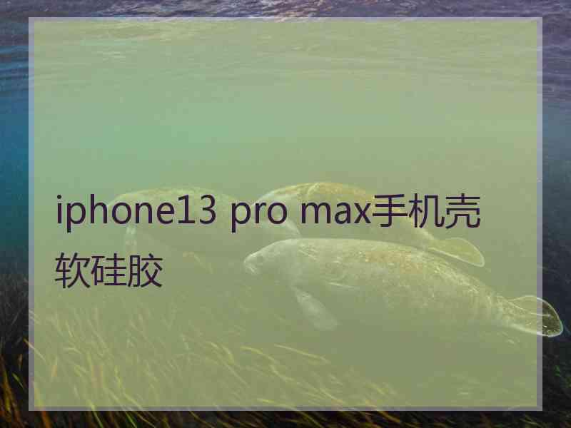 iphone13 pro max手机壳软硅胶