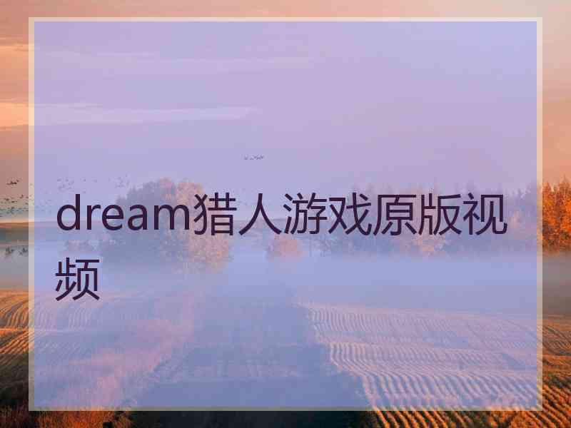 dream猎人游戏原版视频