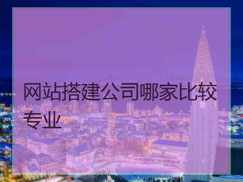 网站搭建公司哪家比较专业