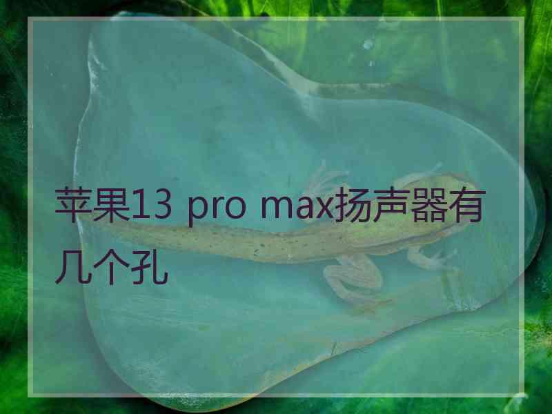 苹果13 pro max扬声器有几个孔