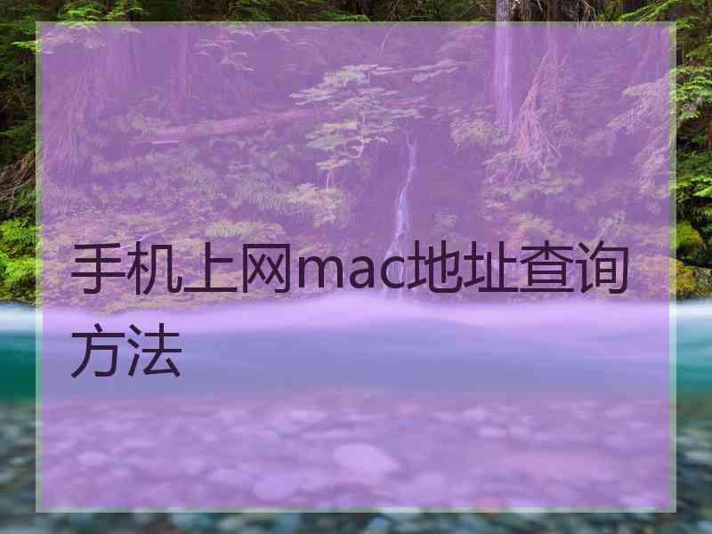 手机上网mac地址查询方法