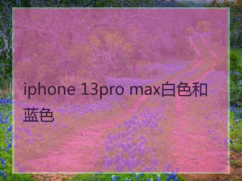 iphone 13pro max白色和蓝色