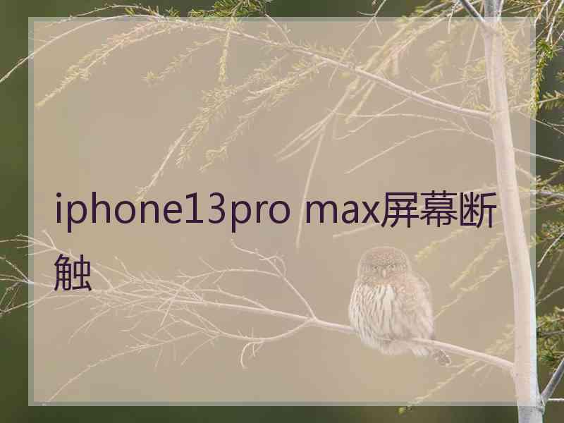 iphone13pro max屏幕断触