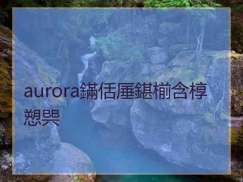 aurora鏋佸厜鍖椾含椁愬巺