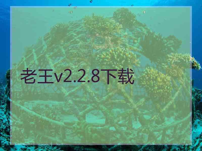 老王v2.2.8下载