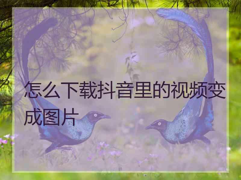 怎么下载抖音里的视频变成图片