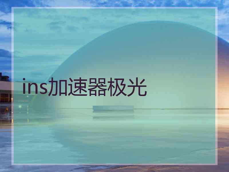 ins加速器极光