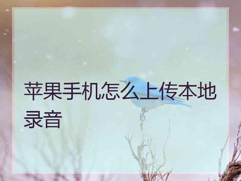 苹果手机怎么上传本地录音