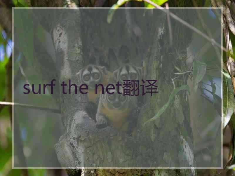 surf the net翻译