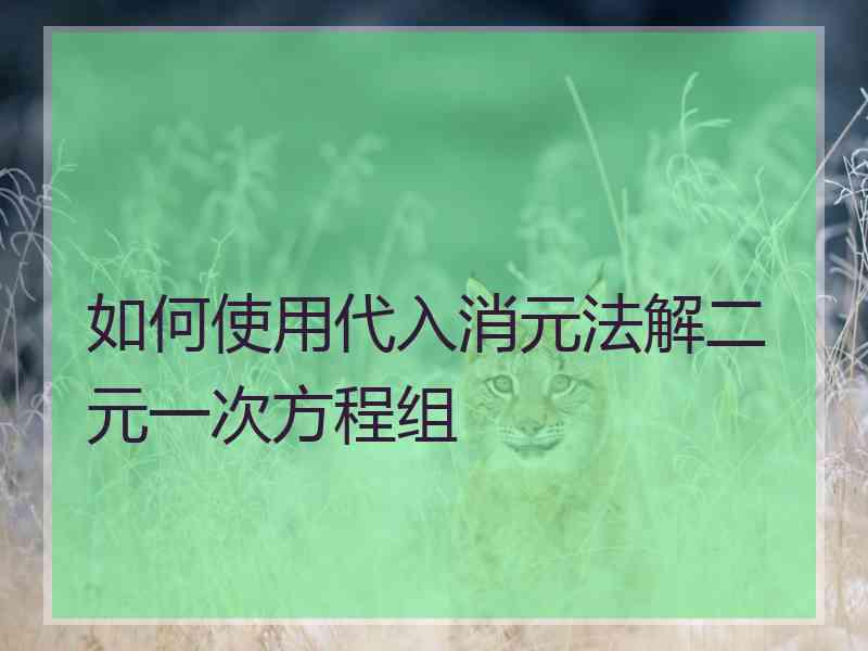 如何使用代入消元法解二元一次方程组