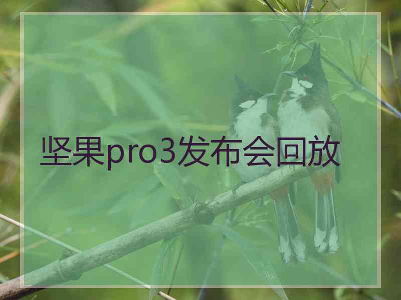 坚果pro3发布会回放