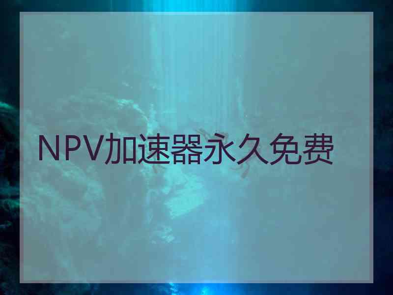 NPV加速器永久免费