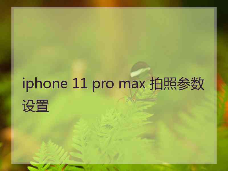 iphone 11 pro max 拍照参数设置