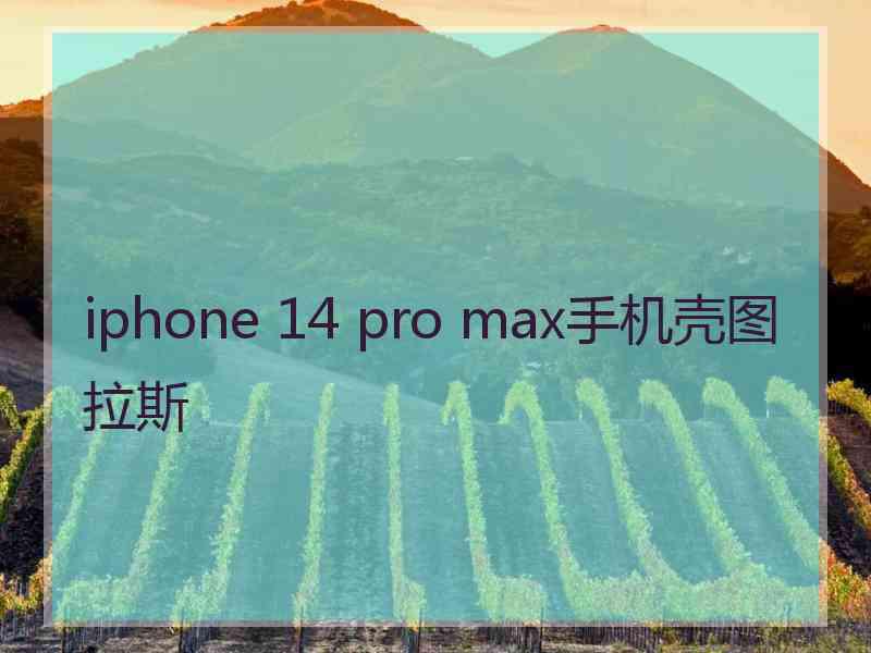 iphone 14 pro max手机壳图拉斯