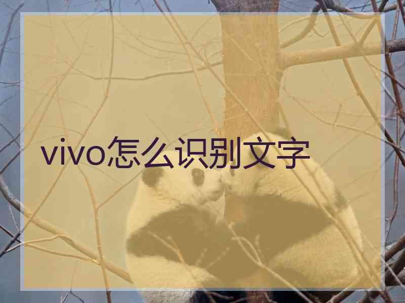 vivo怎么识别文字