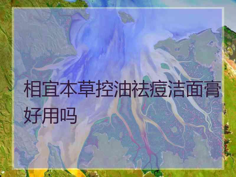 相宜本草控油祛痘洁面膏好用吗