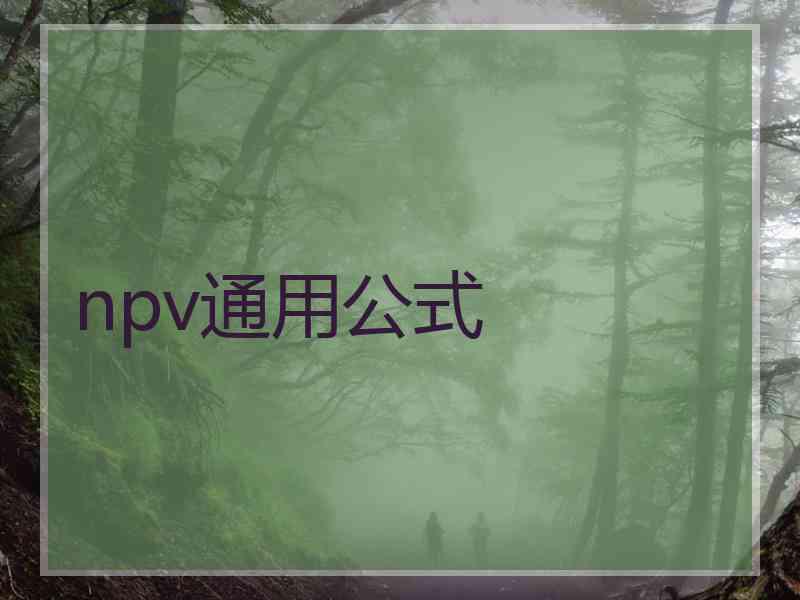 npv通用公式