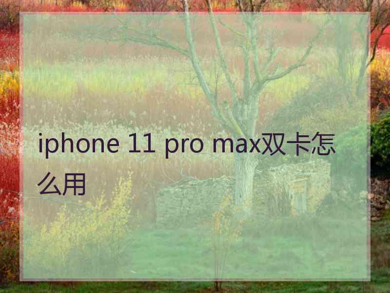 iphone 11 pro max双卡怎么用