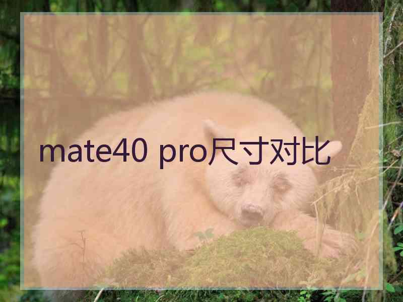 mate40 pro尺寸对比