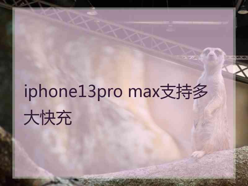 iphone13pro max支持多大快充