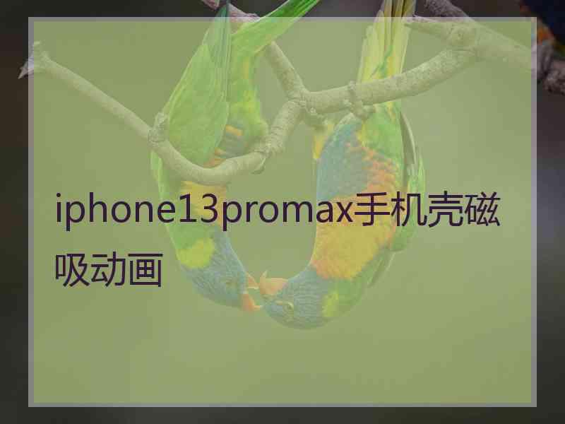 iphone13promax手机壳磁吸动画