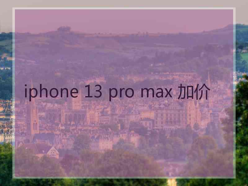 iphone 13 pro max 加价