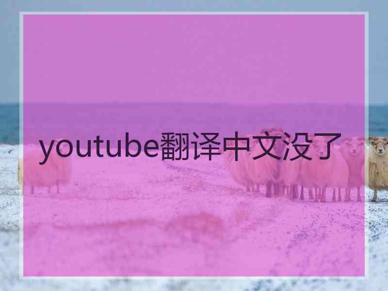 youtube翻译中文没了